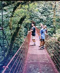 96 bosque Monteverde.jpg